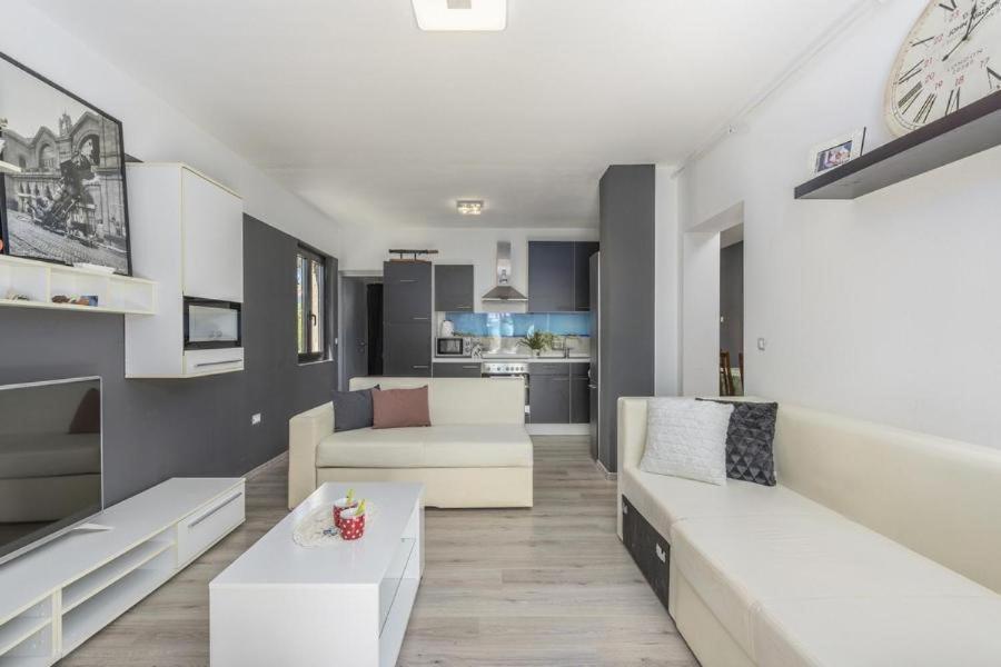 Apartment Zak Novigrad Istria Kültér fotó